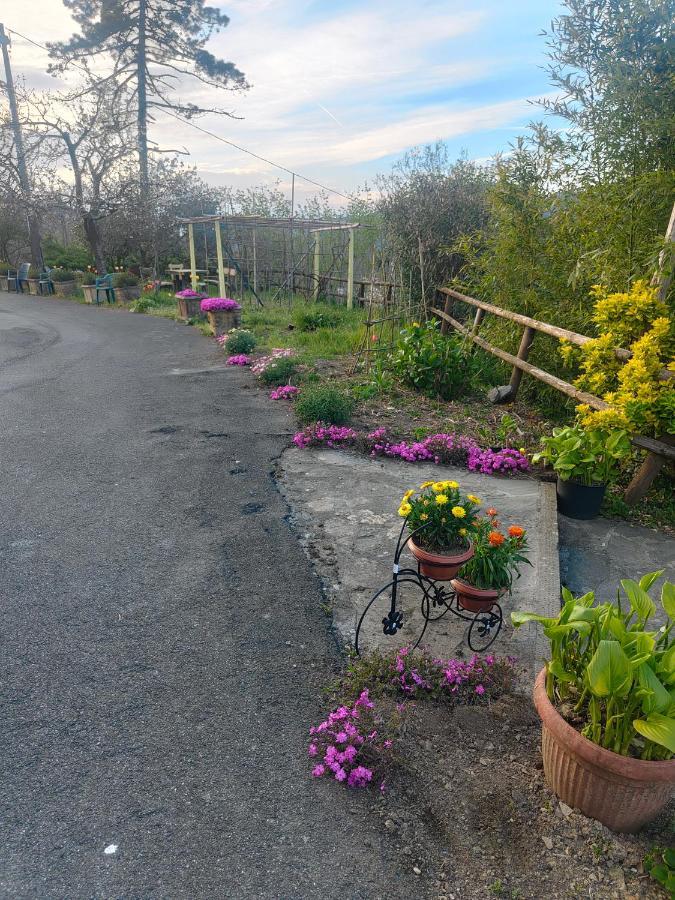 La Valle Fiorita Soviore Exterior foto