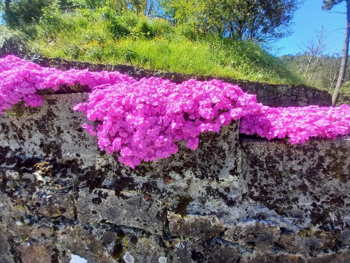 La Valle Fiorita Soviore Exterior foto