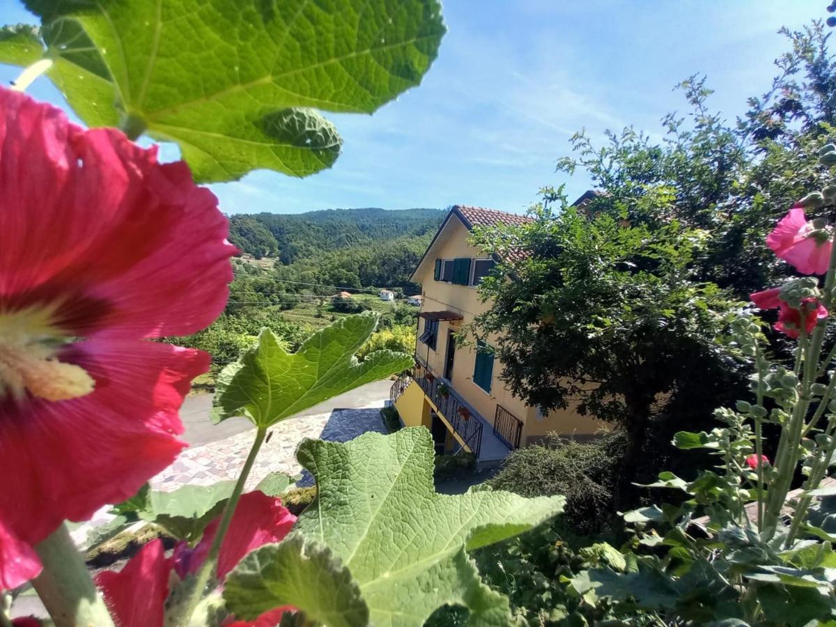 La Valle Fiorita Soviore Exterior foto